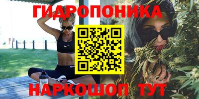молекула духа Гусиноозёрск