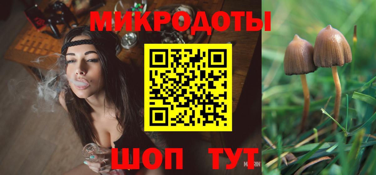 Псилоцибиновые грибы Psilocybe  купить наркотики цена  Псилоцибиновые грибы мицелий  Мурино  Вход с VPN 